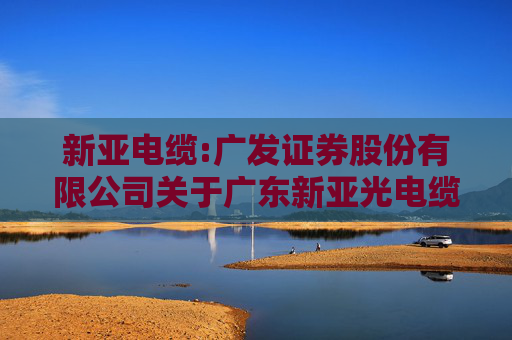 新亚电缆:广发证券股份有限公司关于广东新亚光电缆股份有限公司调整部分募投项目实施地点及内部投资结构的核查意见