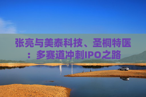 张亮与美泰科技、圣桐特医:多赛道冲刺IPO之路