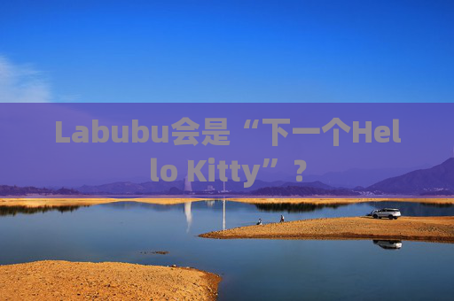 Labubu会是“下一个Hello Kitty”？  第1张