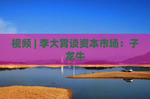 视频 | 李大霄谈资本市场：子龙牛