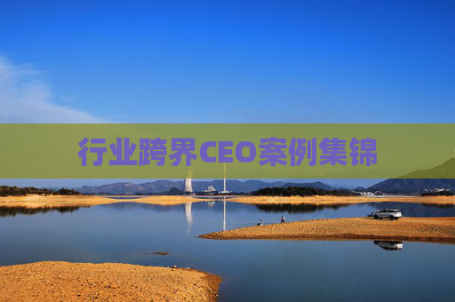 行业跨界CEO案例集锦