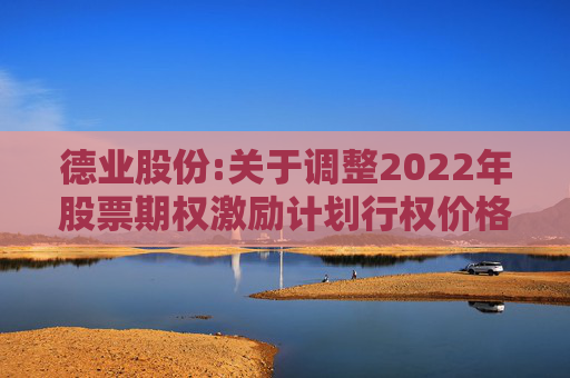 德业股份:关于调整2022年股票期权激励计划行权价格及数量的公告