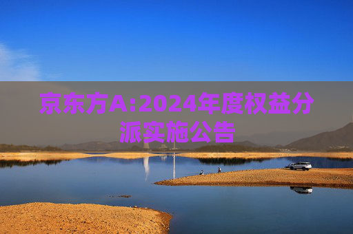 京东方A:2024年度权益分派实施公告