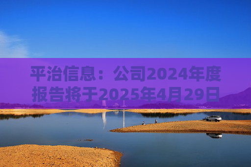 平治信息：公司2024年度报告将于2025年4月29日披露