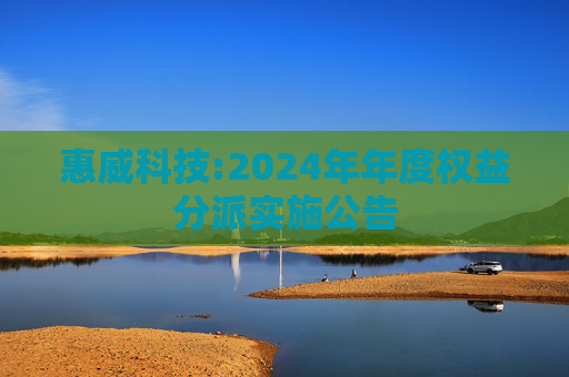 惠威科技:2024年年度权益分派实施公告
