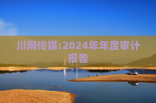 川网传媒:2024年年度审计报告