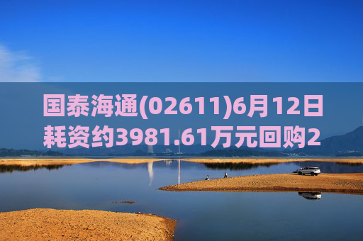 国泰海通(02611)6月12日耗资约3981.61万元回购214.992万股A股