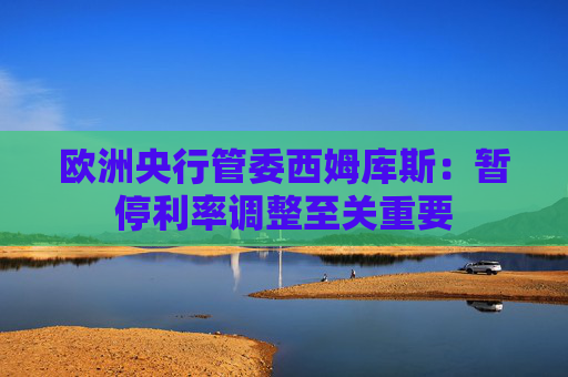 欧洲央行管委西姆库斯：暂停利率调整至关重要