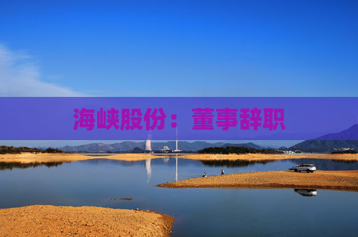 海峡股份：董事辞职