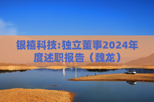 银禧科技:独立董事2024年度述职报告（魏龙）