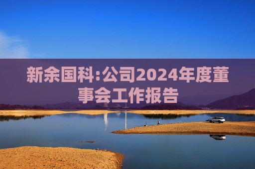 新余国科:公司2024年度董事会工作报告
