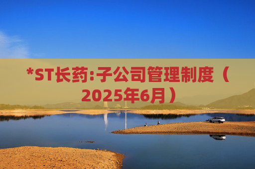 *ST长药:子公司管理制度（2025年6月）