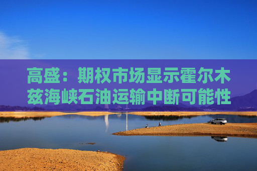 高盛：期权市场显示霍尔木兹海峡石油运输中断可能性很小