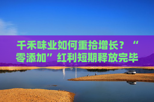 千禾味业如何重拾增长？“零添加”红利短期释放完毕 股价下跌控股股东融资参与的定增被套  第1张