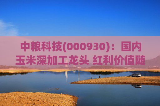 中粮科技(000930):国内玉米深加工龙头 红利价值随业绩改善凸显 第1张 中粮科技(000930):国内玉米深加工龙头 红利价值随业绩改善凸显 第1张