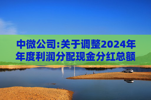 中微公司:关于调整2024年年度利润分配现金分红总额的公告