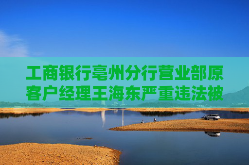 工商银行亳州分行营业部原客户经理王海东严重违法被开除公职 第1张 工商银行亳州分行营业部原客户经理王海东严重违法被开除公职 第1张