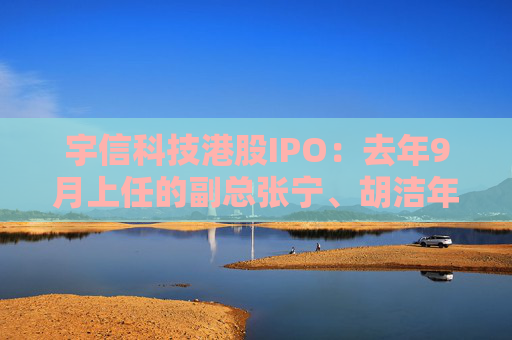 宇信科技港股IPO：去年9月上任的副总张宁、胡洁年薪百万，2015年上任的副总郑春年薪73.5万