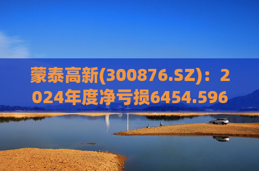 蒙泰高新(300876.SZ)：2024年度净亏损6454.596万元