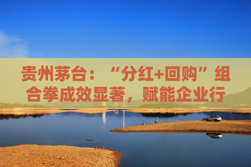 贵州茅台:“分红+回购”组合拳成效显著,赋能企业行稳致远