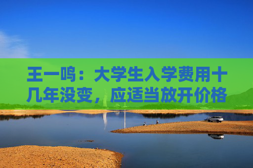王一鸣：大学生入学费用十几年没变，应适当放开价格与工资联动