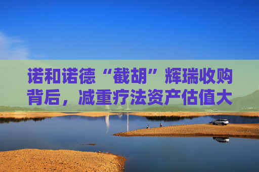 诺和诺德“截胡”辉瑞收购背后，减重疗法资产估值大爆发