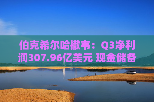 伯克希尔哈撒韦：Q3净利润307.96亿美元 现金储备达3816.7亿美元  第1张