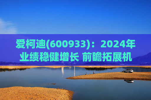 爱柯迪(600933):2024年业绩稳健增长 前瞻拓展机器人相关业务