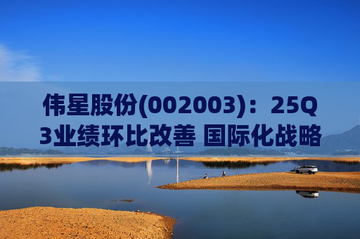 伟星股份(002003)：25Q3业绩环比改善 国际化战略保障成长