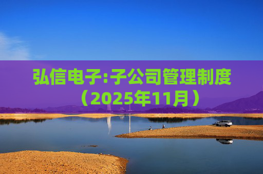 弘信电子:子公司管理制度（2025年11月）