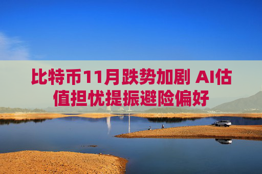 比特币11月跌势加剧 AI估值担忧提振避险偏好