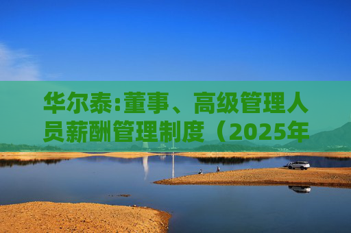 华尔泰:董事、高级管理人员薪酬管理制度(2025年11月)