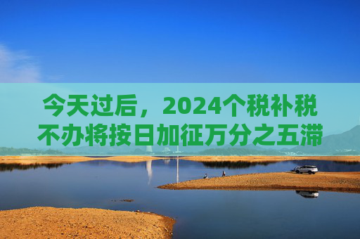 今天过后，2024个税补税不办将按日加征万分之五滞纳金