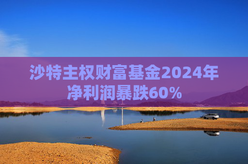 沙特主权财富基金2024年净利润暴跌60%