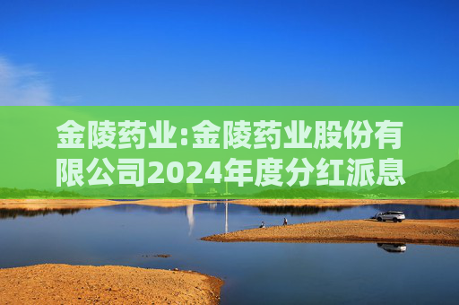 金陵药业:金陵药业股份有限公司2024年度分红派息实施公告