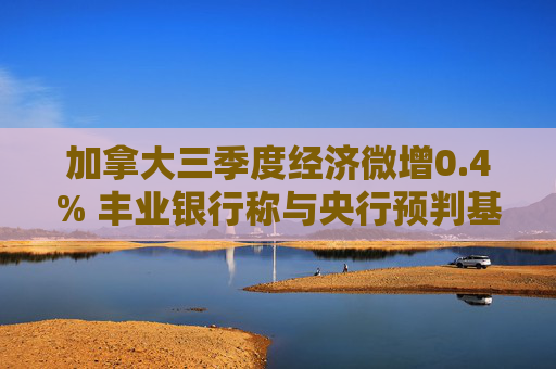 加拿大三季度经济微增0.4% 丰业银行称与央行预判基本契合