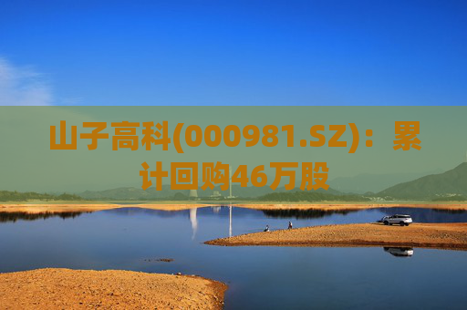 山子高科(000981.SZ):累计回购46万股 第1张 山子高科(000981.SZ):累计回购46万股 第1张
