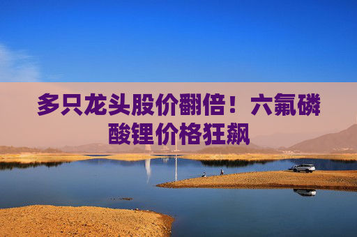 多只龙头股价翻倍!六氟磷酸锂价格狂飙