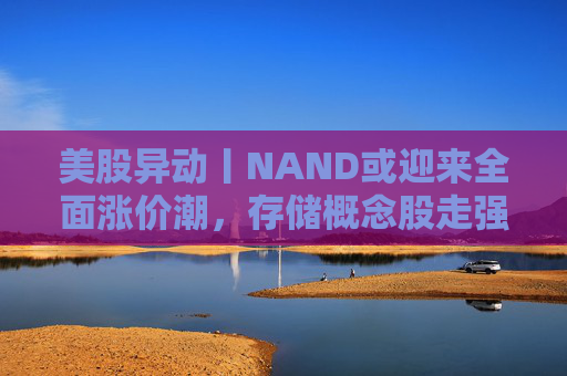 美股异动丨NAND或迎来全面涨价潮，存储概念股走强