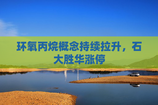 环氧丙烷概念持续拉升，石大胜华涨停