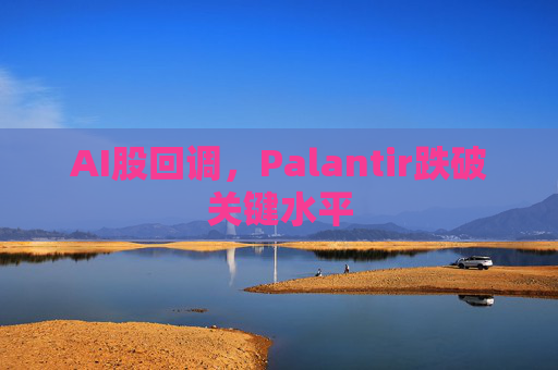 AI股回调,Palantir跌破关键水平