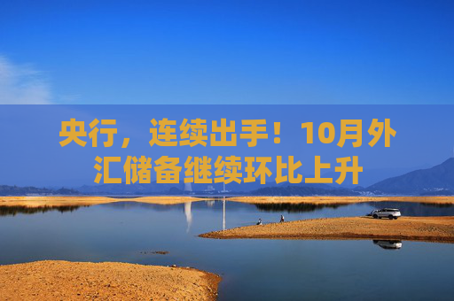 央行，连续出手！10月外汇储备继续环比上升
