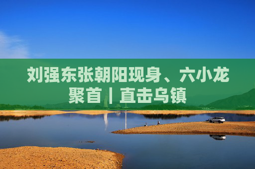 刘强东张朝阳现身、六小龙聚首｜直击乌镇