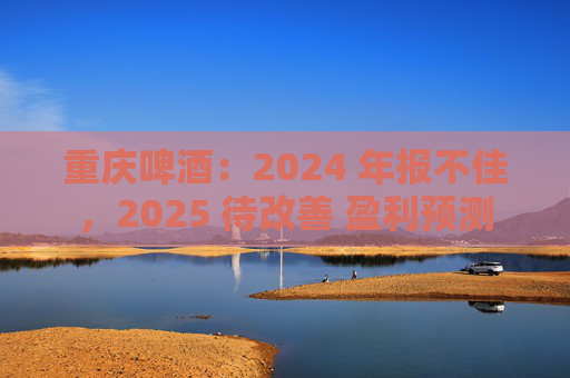 重庆啤酒：2024 年报不佳，2025 待改善 盈利预测