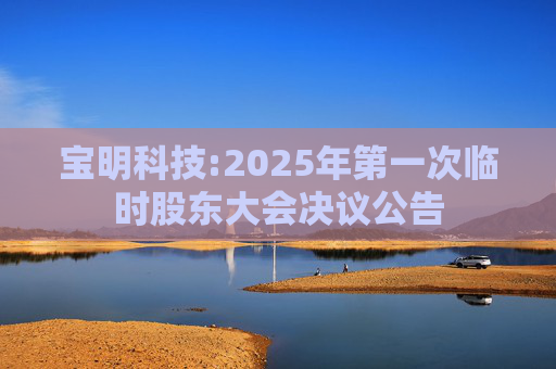 宝明科技:2025年第一次临时股东大会决议公告
