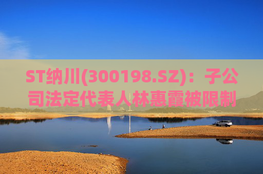 ST纳川(300198.SZ):子公司法定代表人林惠霞被限制高消费