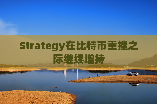 Strategy在比特币重挫之际继续增持