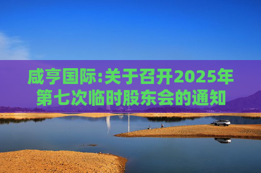 咸亨国际:关于召开2025年第七次临时股东会的通知  第1张
