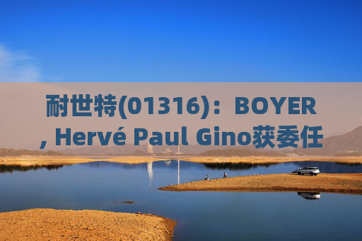 耐世特(01316)：BOYER, Hervé Paul Gino获委任为执行董事