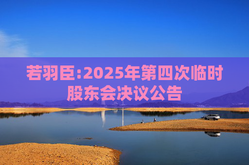 若羽臣:2025年第四次临时股东会决议公告